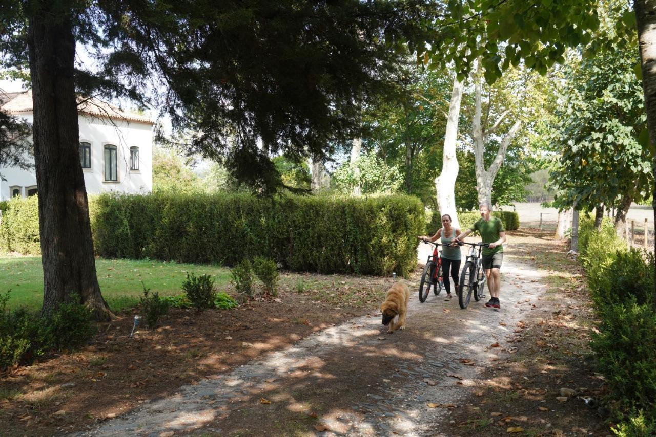 Quinta Do Areal Apartman Lousã Kültér fotó