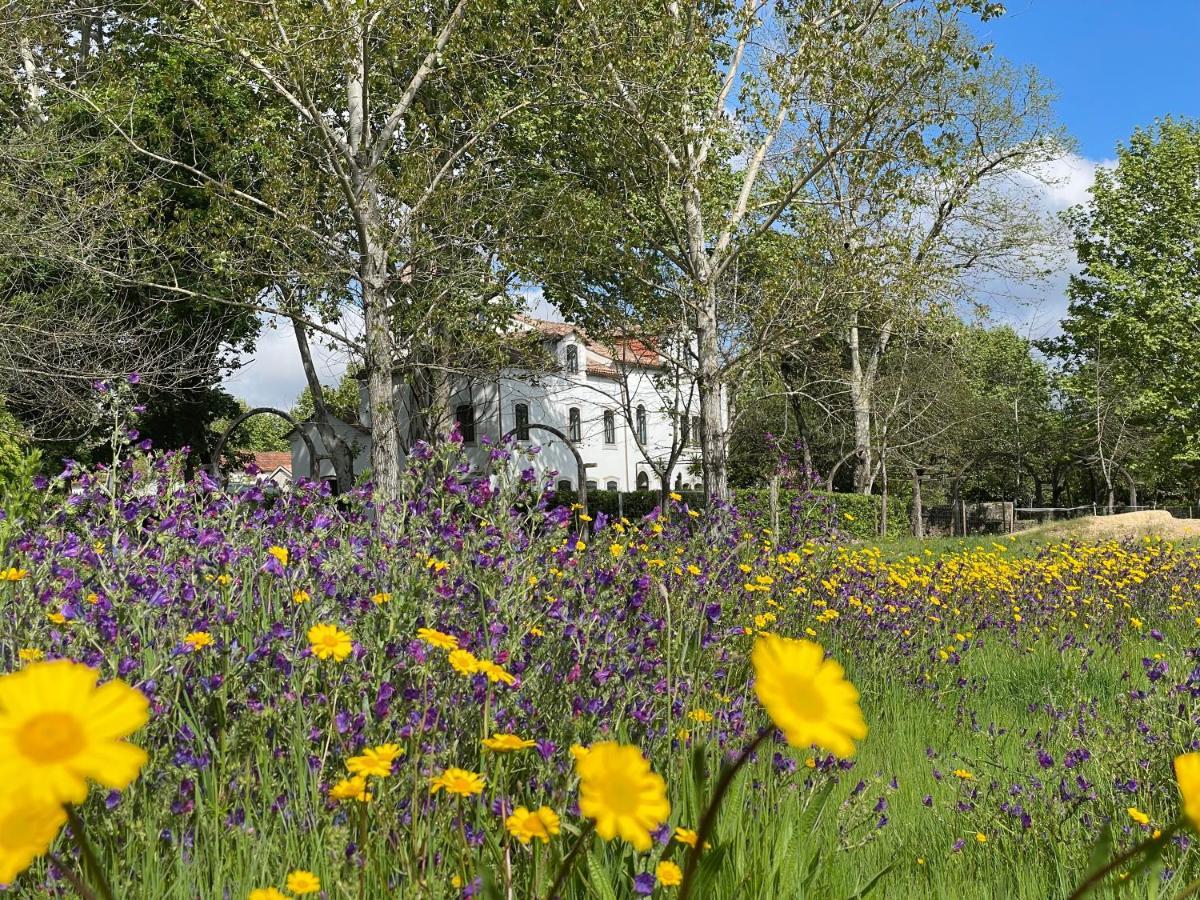 Quinta Do Areal Apartman Lousã Kültér fotó